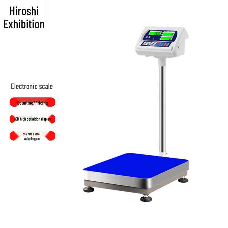 

Haozhan High-Precision Commercial Floor Scale