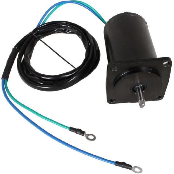 Outboard Engine Tilt Trim Motor for Yamaha 75HP 80HP 90HP 100HP F75 F80 F90 F100 1999-2004 67F-43880-00