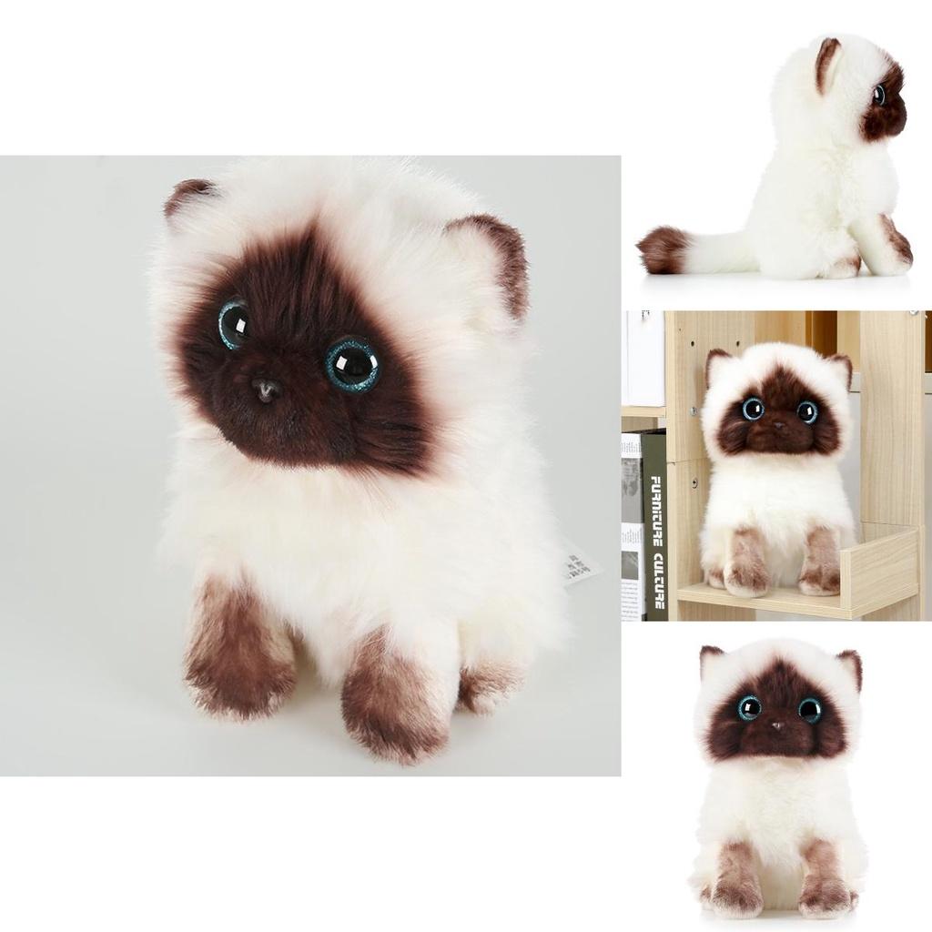 20cm/26cm Siamese Cat Plush Toy Cute Soft Gift Blue Sequins Eyes Dolls
