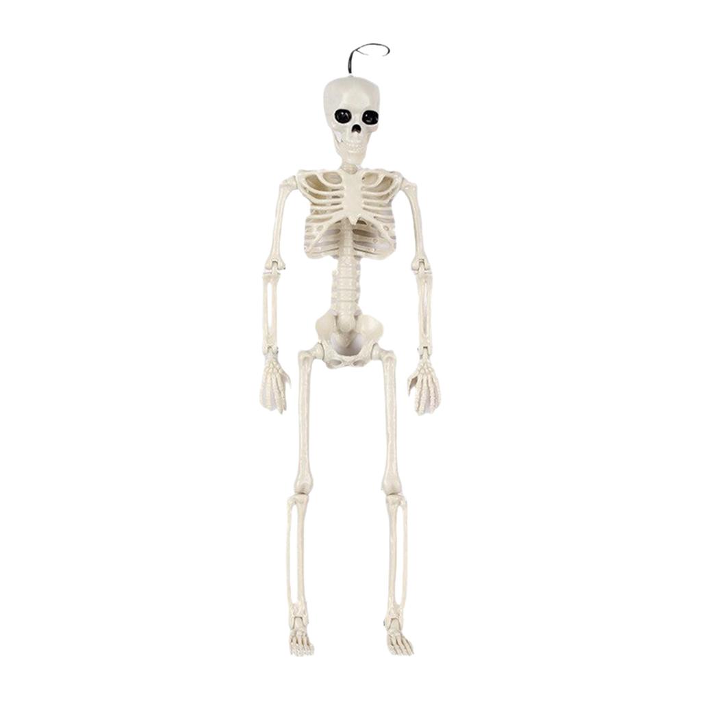 40cm Plastic Human Skeleton Model with Movable Joints for Halloween Decoration and Teaching Display