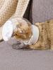 Cat Muzzle Pet Grooming Cover Accessory Breathable Anti Bite Muzzles Clear Cat Adjustable Hood Cat Grooming Pet Supplies