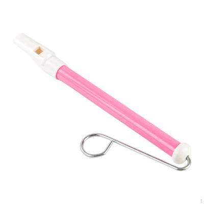 Slide Whistle for Adults & Kids Birthday Gift Beginners Party Supplies Parent Child Game