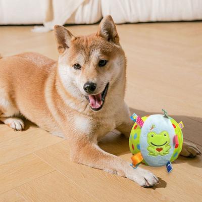 Hund Pipig Mjukisboll med Band Fylld Boll med Inbyggd Bjällra Interaktiv Hämta Leksak för Små Medelstora Stora Hundar
