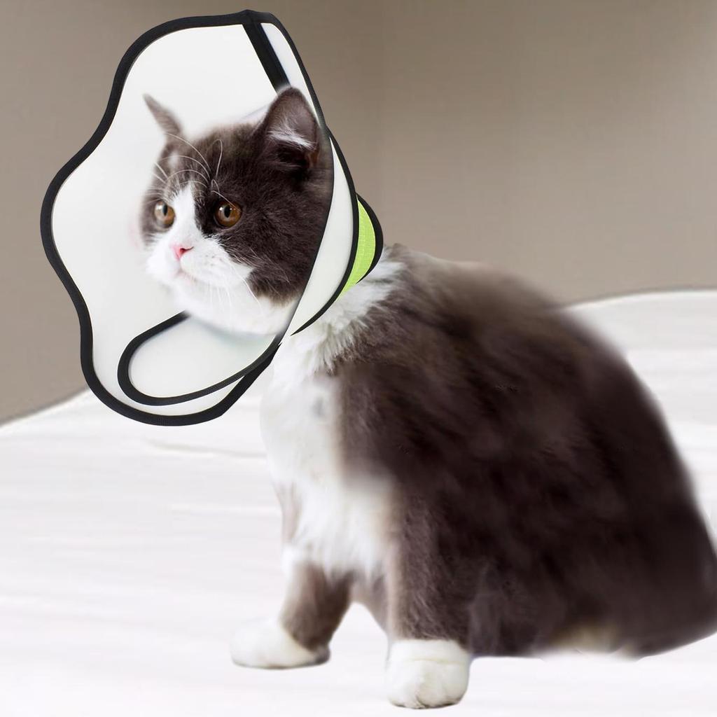 Dog Cat Cone Comfortable Pet Supplies Cat Kitten Recovery Collar for Pet Bathing Puppy Grooming Manicure Cat Trimming Small Dogs