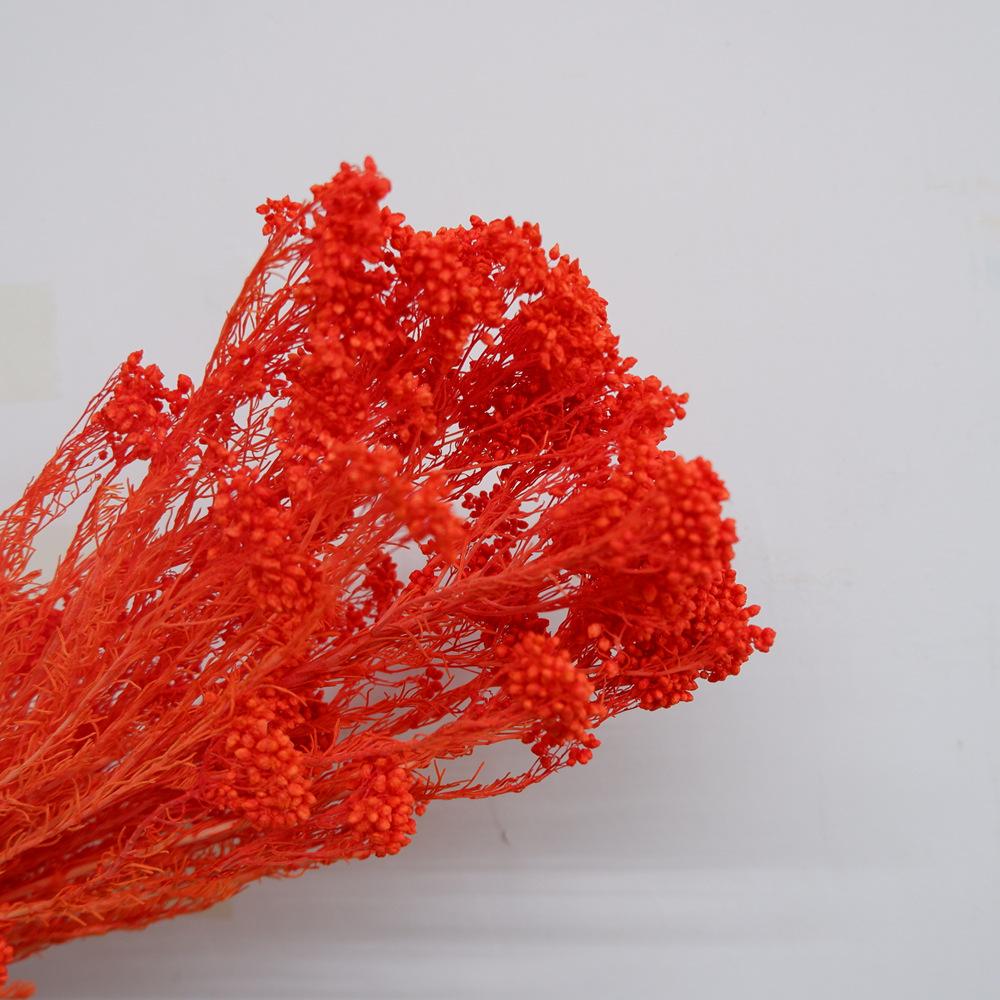 Eternal Flower Bleaching Millet Flower, Preserving Flowers, Rice Flower Eternal Flower Dried Flower Rice Grass Home Decoration Bouquet Accessories