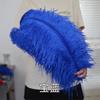 Thick Rod Wide Hair 50-55Cm Ostrich Feather Wedding Road Guide Table Flower Home Decoration Ornament Ostrich Hair White