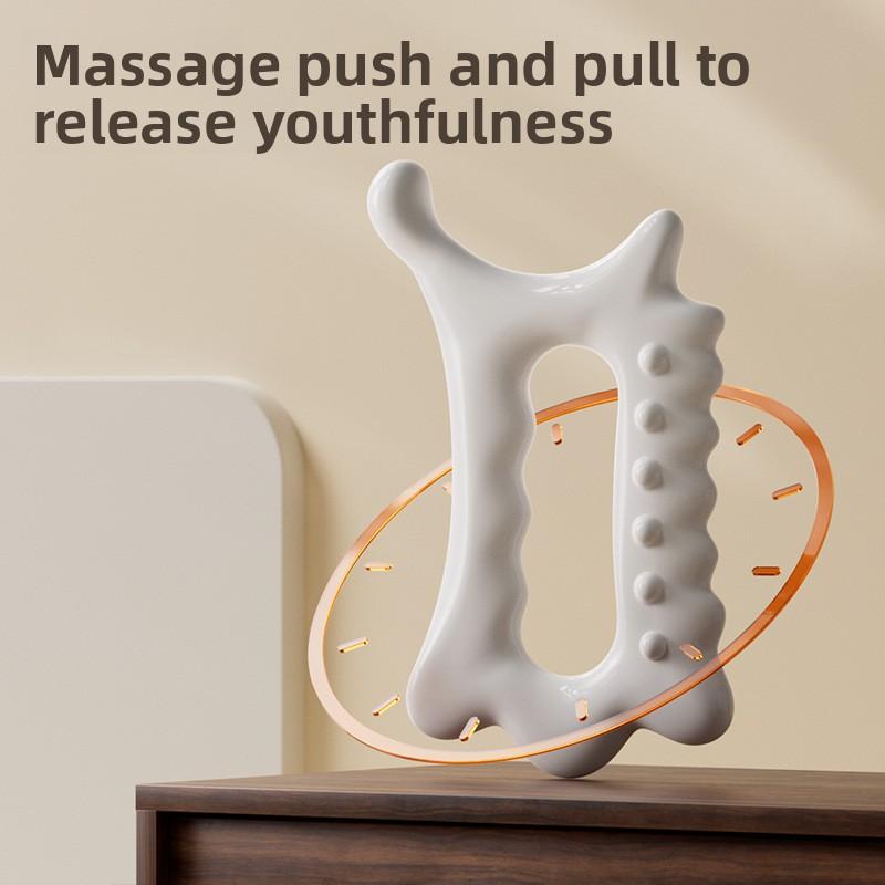 Exquisite Box Sets Whole Body Universal Care Anti Aging Wrinkle Gua Sha Board Facial Body Scraping Massage Tools Resin Massager