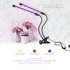 LED pěstební světlo USB PhytoLamp Full Spectrum 5V Phyto lampa 4 hlavy rostlinné světlo pro domácí rostliny, květiny, semena, vnitřní pěstební box