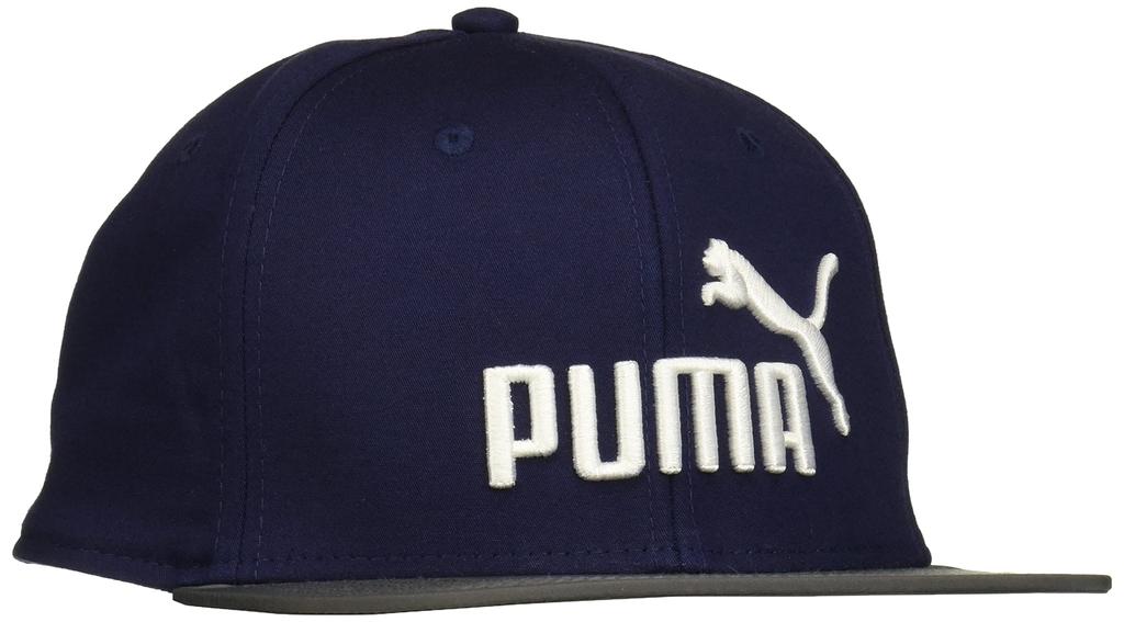 Hat Flat Brim Cap 023123 21 Color Shadow White AD [PUMA] Autumn/Winter Peacoat/Dark (06)