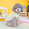 2023 New Pet Clothes Spring and Summer Wholesale Dog Skirt Dog Clothes New Clothing Striped Flower Vest