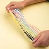 KW-trio 10pcs Plastic 30-Hole Loose Leaf Binders Ring Binding Spines Combs 85 Sheets Capacity for