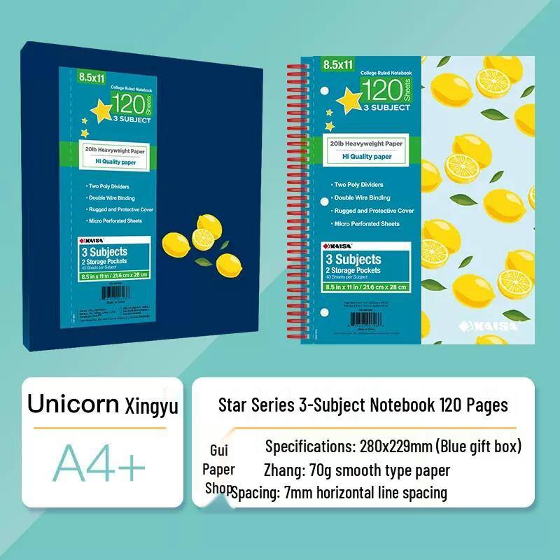 Kaisa American Inspiration Spiral Notebook - Sectioned for College and Graduate Exams, Loose-leaf