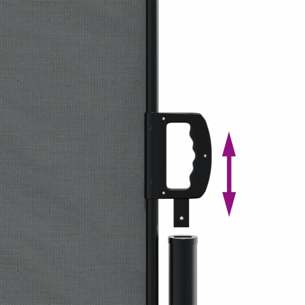 Retractable Side Awning Anthracite 140 x 1000 cm