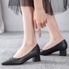 Pumps Women Shoes Shallow Chunky Heeled Pointed Toe Ladies Shoe Platform Soft Leather Slip On Women's Fashion Dress Office 2026