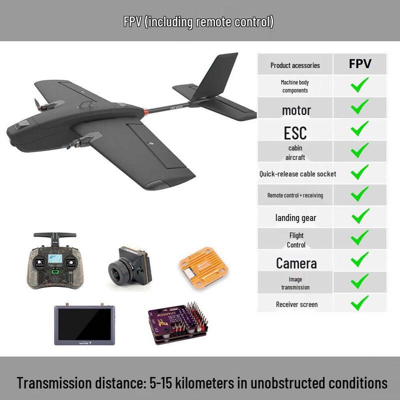 Assassin T-1 Professional RC Glider