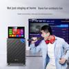 SAST SW-39 Portable Karaoke KTV Speaker System CN Plug (adapter Included)