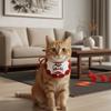 Embroidery Cat Knitted Drool Towel Cartoon New Year Cat Scarf Dog Drool Bib  Horse Year