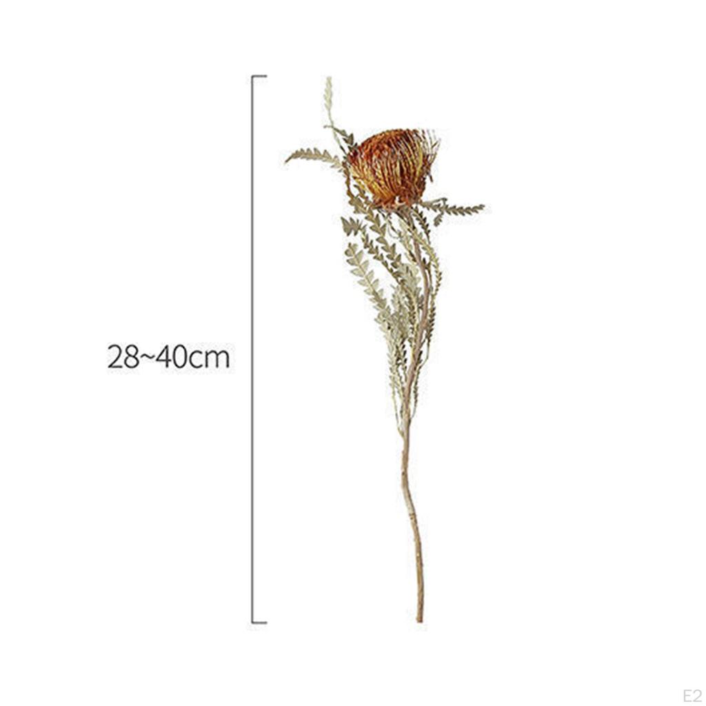 5Pcs Natural Dried Flowers Bouquet Home Decor for Bedroom Living Room Table