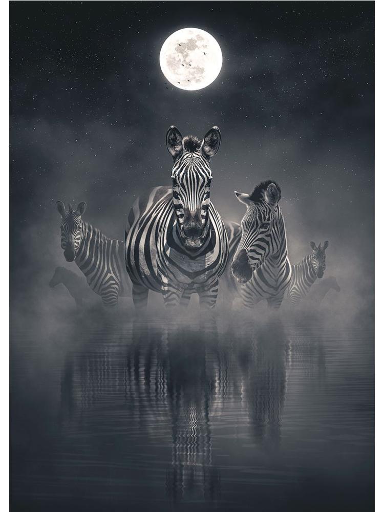 Fantasy Animals Lion Wolf Eagle Bear Tiger Urban Jungle Poster Canvas Painting Vintage Nordic Wall Art Living Room Home Decor