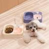 Cat Dishes For Food And Water 2 In 1 Raised Pet Feeding Bowl Double Dishes Bunny Food Water Dispenser Set Automatic Waterer