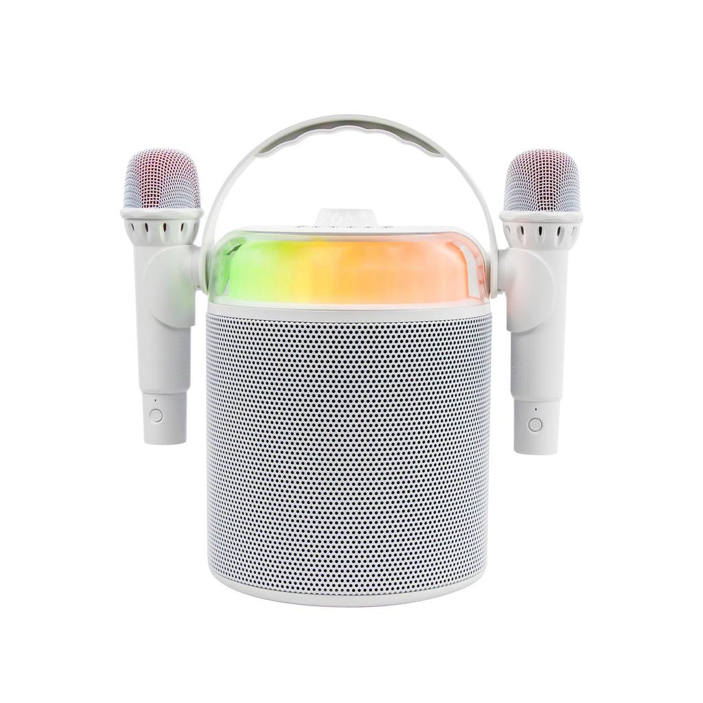 Portable All-in-One RGB Night Light Bluetooth Speaker with Microphone for Family KTV