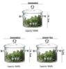 High-Temperature Resistant Large-Capacity Borosilicate Glass Pot for Steaming, Cooking, and Salads