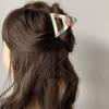 Hollow Middle Shark Clip Acetic Acid Acetate Hair Claw Cute Triangle Claw Clip  Photograph
