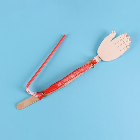 1 Set DIY Bone Muscle Model Kit Handmade Wooden Puzzle Human Arm