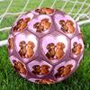 1pc Dachshunds Love Heart Theme Soccer Ball Football, Size 5, Lightweight PVC, Outdoor Training Soccer Ball,Gift J61424