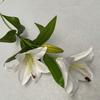 Cloth Realistic 3d Artificial Lilies Fake Flowers For Wedding Decor Home Props