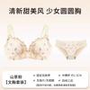 Broken flower pure lace women show big collection, sub-breasts, beautiful back, no steel ring bra set