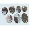 284Cts. Natural Chrysoprase Oval Shape Cabachon Loose Gemstone 07 Pcs Lot C-2568