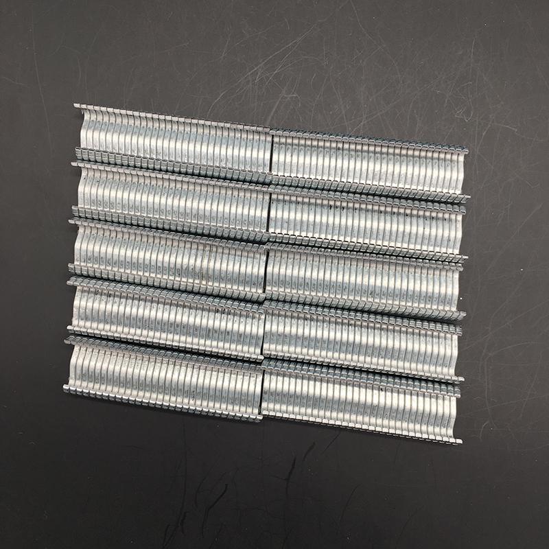 600 pezzi Chiodo M Chiodi per gabbie Gabbie per animali chiodo installato Coniglio Pollo Uccelli Gabbia Mangiatoia per animali Quaglia Pinza per gabbia per tortore dal collare Coniglio