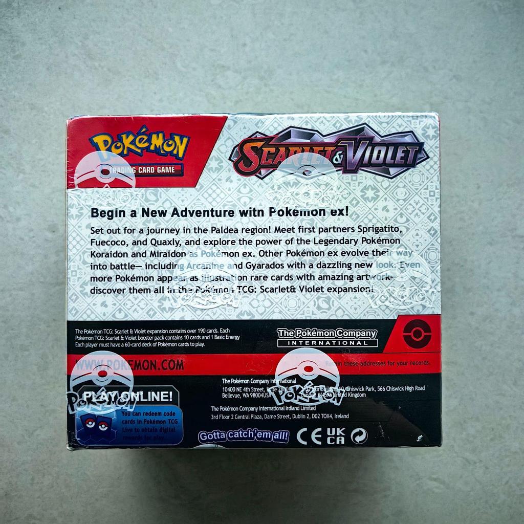 Karty Pokémon: Pikachu i Charizard Pudełko Niespodzianka z Mega Ewolucją