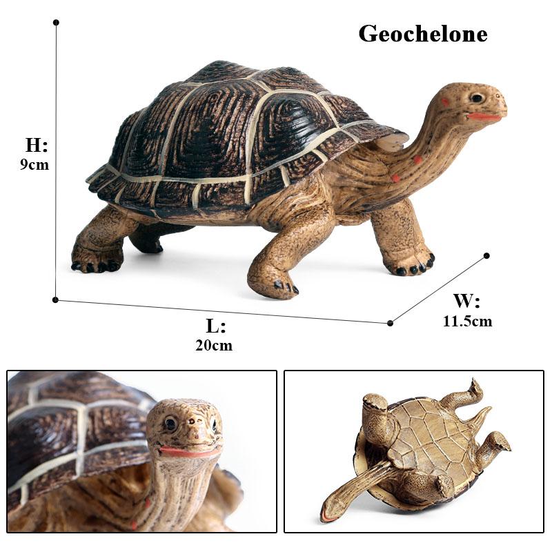 Oenux Ocean Animals Leatherback Tortoise Turtle Growth Cycle Sea Life Model Figurines Action Figures PVC Education Kid Toy Gift