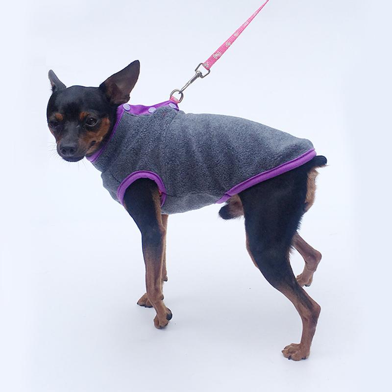 chihuahua fleece