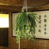 *Artificial Silk Fake Chlorophytum Orchid Spider Plant Grass Home,Garden Decor *