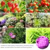 50W 100W 150W Led Grow light 220V Outdoor Led Floodlight Full Spectrum LED plant growth lamp Led Spotlight Projector Streetlight