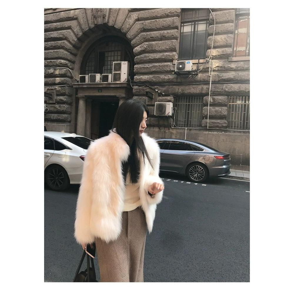 New Fox Fur Stand Collar Fur Coat Fashionable Warm and Good-looking Women's Winter Coat