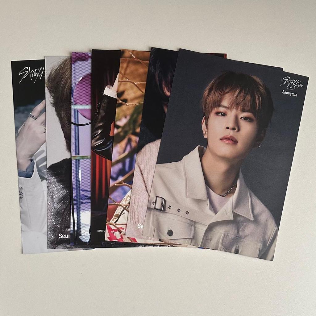 [USED] StrayKids Seungmin flyer