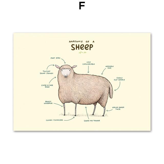 Flamingo Fox Sloth Sheep Animal Anatomy Wall Art Canvas Painting Nordic Posters And Prints Wall Pictures For Living Room Decor No Frame