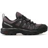 Треккинговые ботинки Salomon X Braze GTX