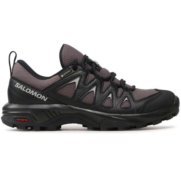 Треккинговые ботинки Salomon X Braze GTX