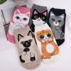 Animal Cotton Socks Women Autumn Winter Cute Cartoon Cat Dog Parttern Mid Tube Sock Kawaii Female Girl Funny Floor Sleep Socks