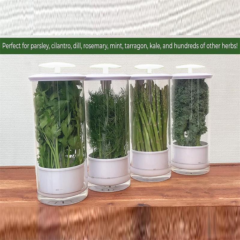 1PC Vegetables Fresh Preservation Bottle For Refrigerator Herb Saver Storage Container Fresh Herb Keeper Vanilla Kitchen Tool