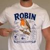Funny Robin Shirt - Retro Birds & Birding Gift - Sarcastic Robin Clothing