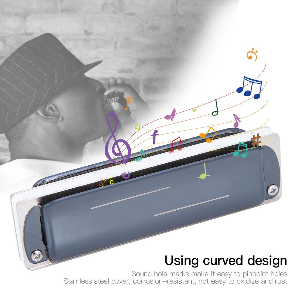 Blues Harp Mundharmonika 10-;Loch Professionelles Mundharmonika G-Ton Geschenke Edelstahlabdeckung(blau )