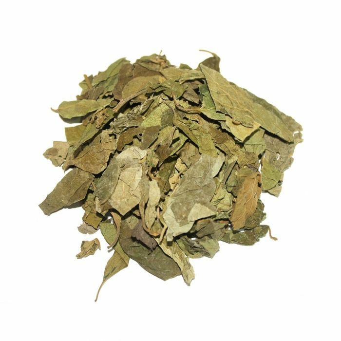 Gurmar Pulver / Gudmar Pulver / madhunashini / Gymnema sylvestre- 150 g JL184609806185