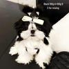 Bichon & Pomeranian White Hair Dye for Pets - Safe and Specialized Formula for Dogs