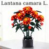 High-Quality 1614Pcs High-Difficulty High-Quality Block High-Quality Flower High-Quality Pot - High-Quality Home High-Quality Decor High-Quality &